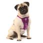 Preview: Kurgo Enhanced Strenght Tru-Fit-Smart Harness (incl. Seat Belt Tether) Purple Gr. S Preview: Kurgo Enhanced Strenght Tru-Fit-Smart Harness (incl. Seat Belt Tether) Purple Gr. S